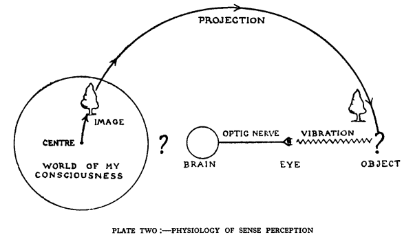 Plate 2, Physiology of sense-perception. Image,
                                projection, object, vibration, eye, optic nerve, brain.