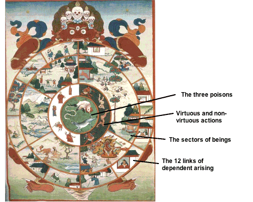 tibetan wheel of life 12 nidanas