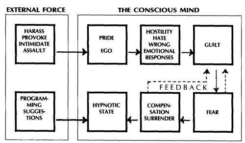 The Hypnotic Process